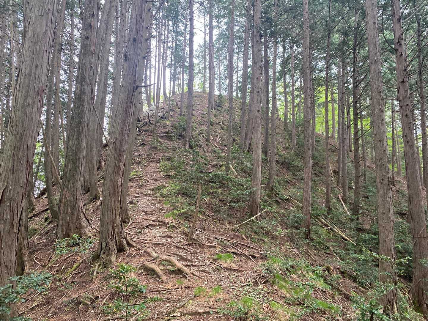  次石山登山口-小倉城山-小倉城八方館跡-今里山-与松山- 周回コースの写真