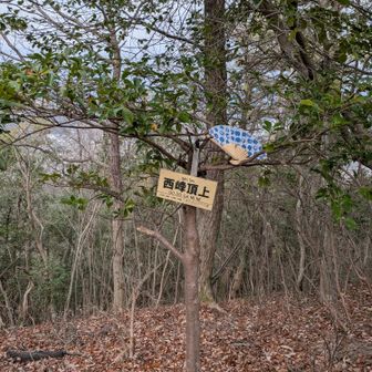 百々ヶ峰主峰はスキップで西峰だけ
