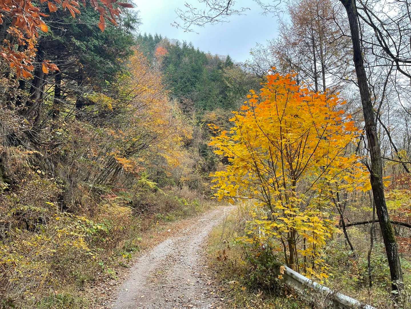 榛名山-杖ノ神峠 縦走コースの写真