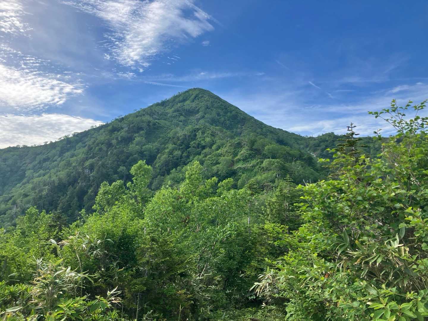 目指す頂が見えた⛰️
遠いよー。帰りたいよー。😭