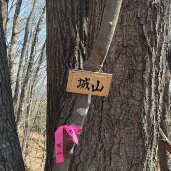 まもなく城山山頂🗻
