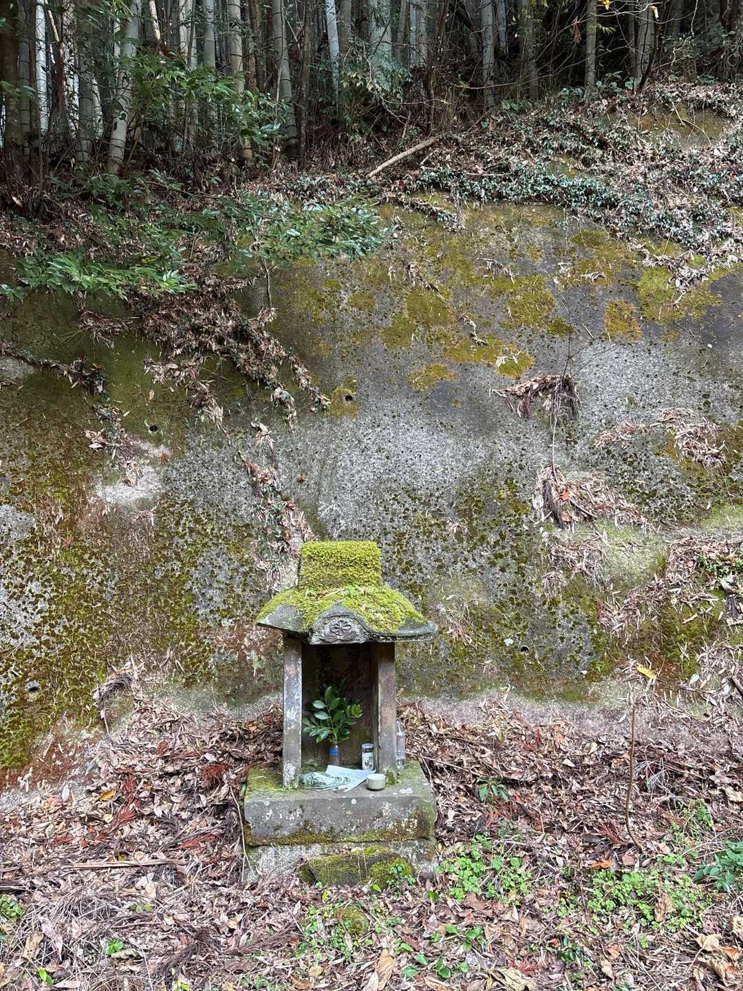 雁回山 周回コースの写真