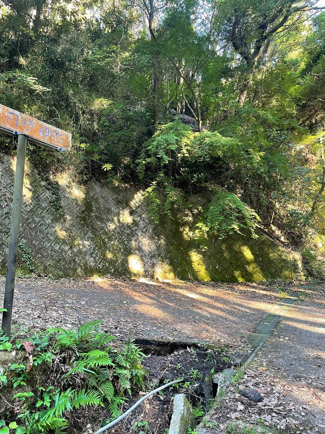 神社方面は今回はやめといた