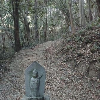 いつ登っても、誰とも会ったことがない参道。