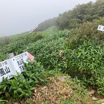 ここは笹ヶ峰！
もうすぐです