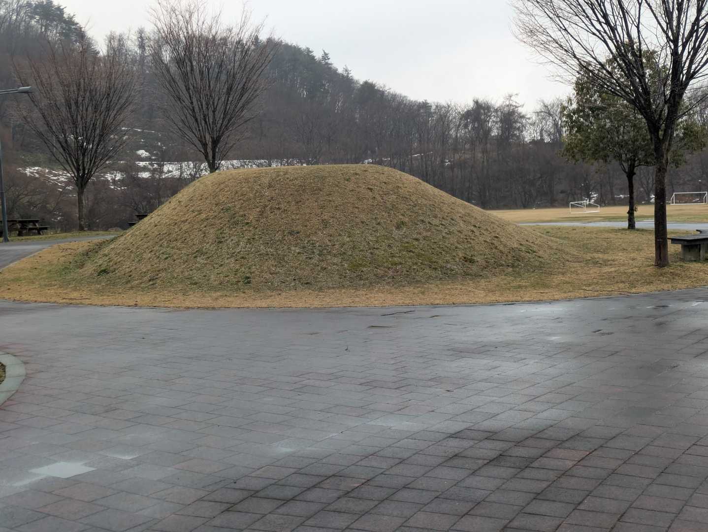 チャーハン感