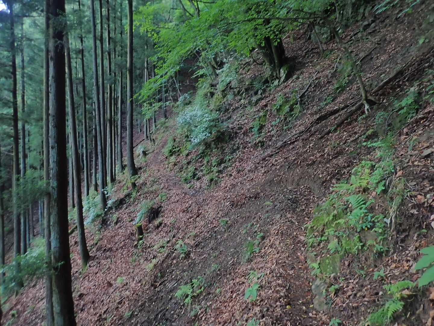 ところどころ崩落跡もあるので、注意して歩く。