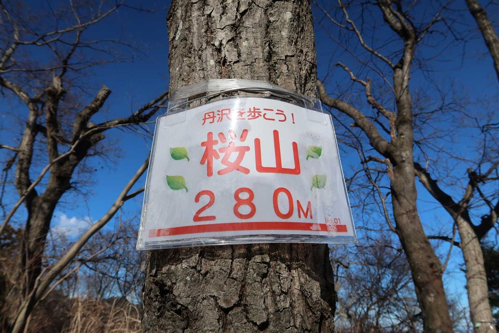 桜山の山頂です
