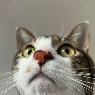 ユーザーまどか