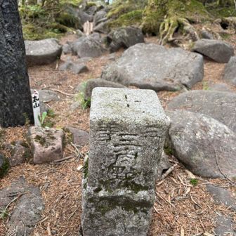 三等三角点は少し先にありました