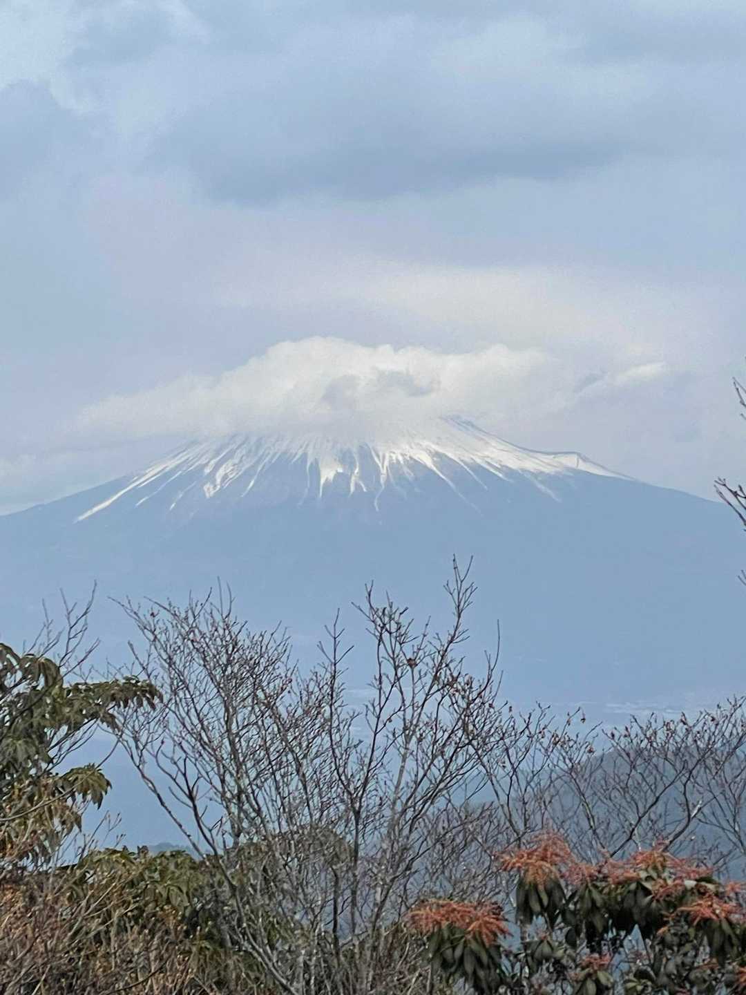 この富士山が見れてなんとか満足！