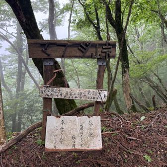 第2に行こうかと思ったけどやめた。