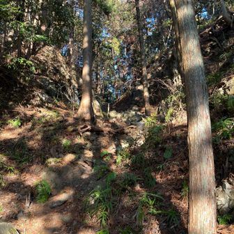 辛垣山までのルートの途中。なんかいい感じに左右が岩で覆われてました。