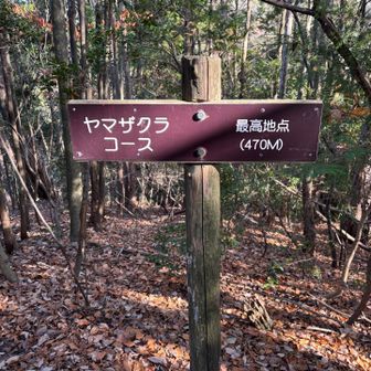 コース最高点470m