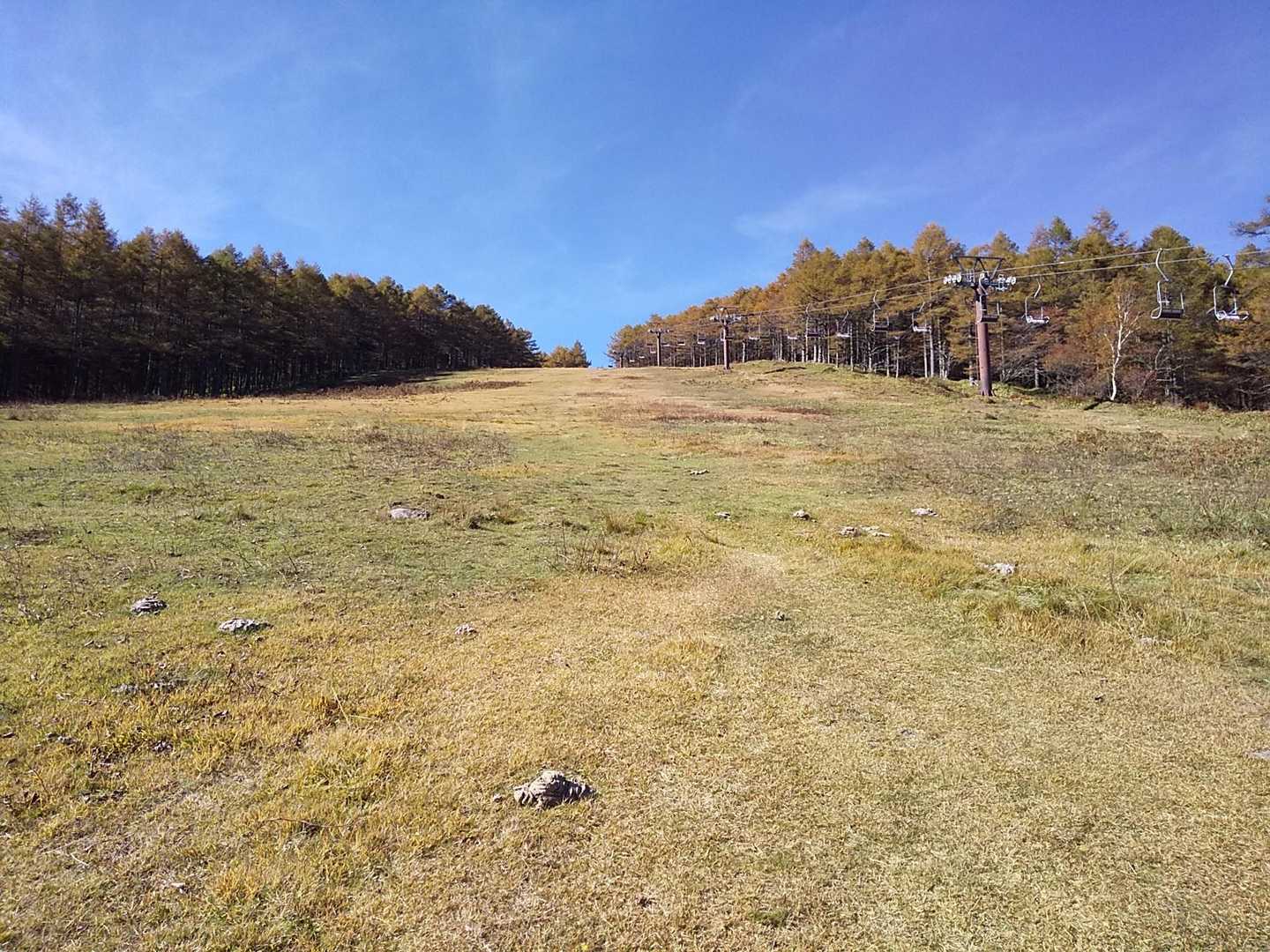 牛糞の間を登る