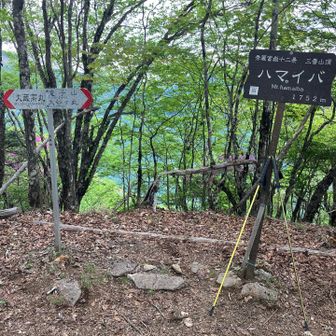 気が付くとハマイバ丸。