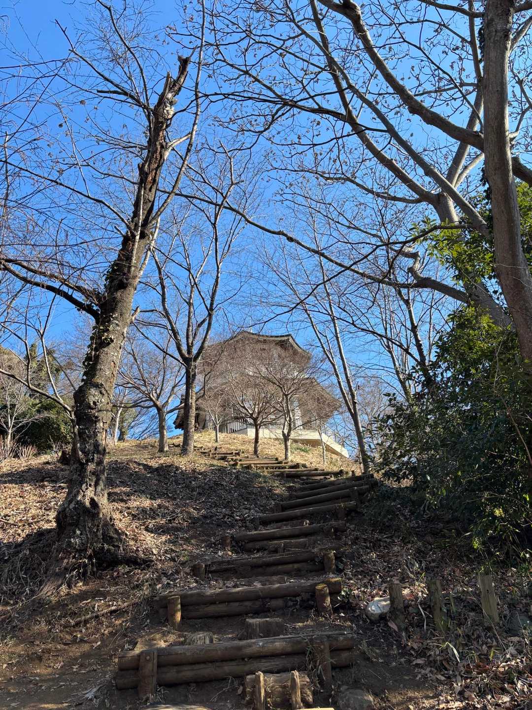 階段登り切ったところに展望台らしき建物発見