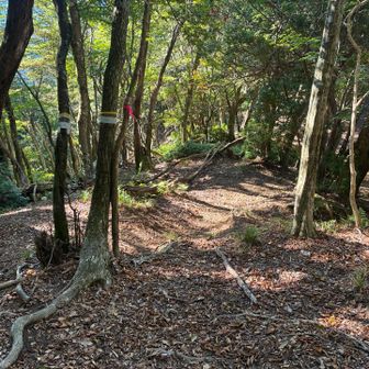 沢谷峠迄降って来ました
➡️は7人山分岐経由で雨乞岳方面
⬆️は3人山経由で雨乞岳方面
⬅️は雨乞岳登山口　こちらへ行きます