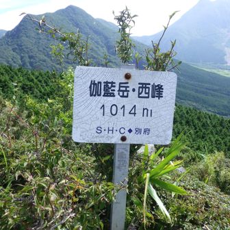すぐに西峰に到着！