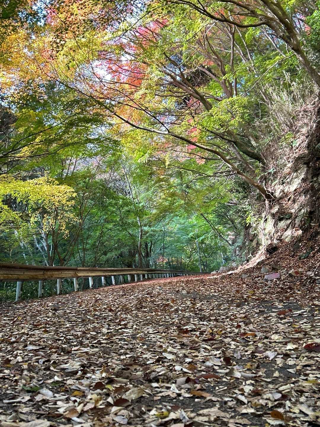 新神戸駅-滝山城跡登山口 縦走コースの写真