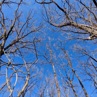 本当に気持ちのいい天気だ。それでは下山しましょう。