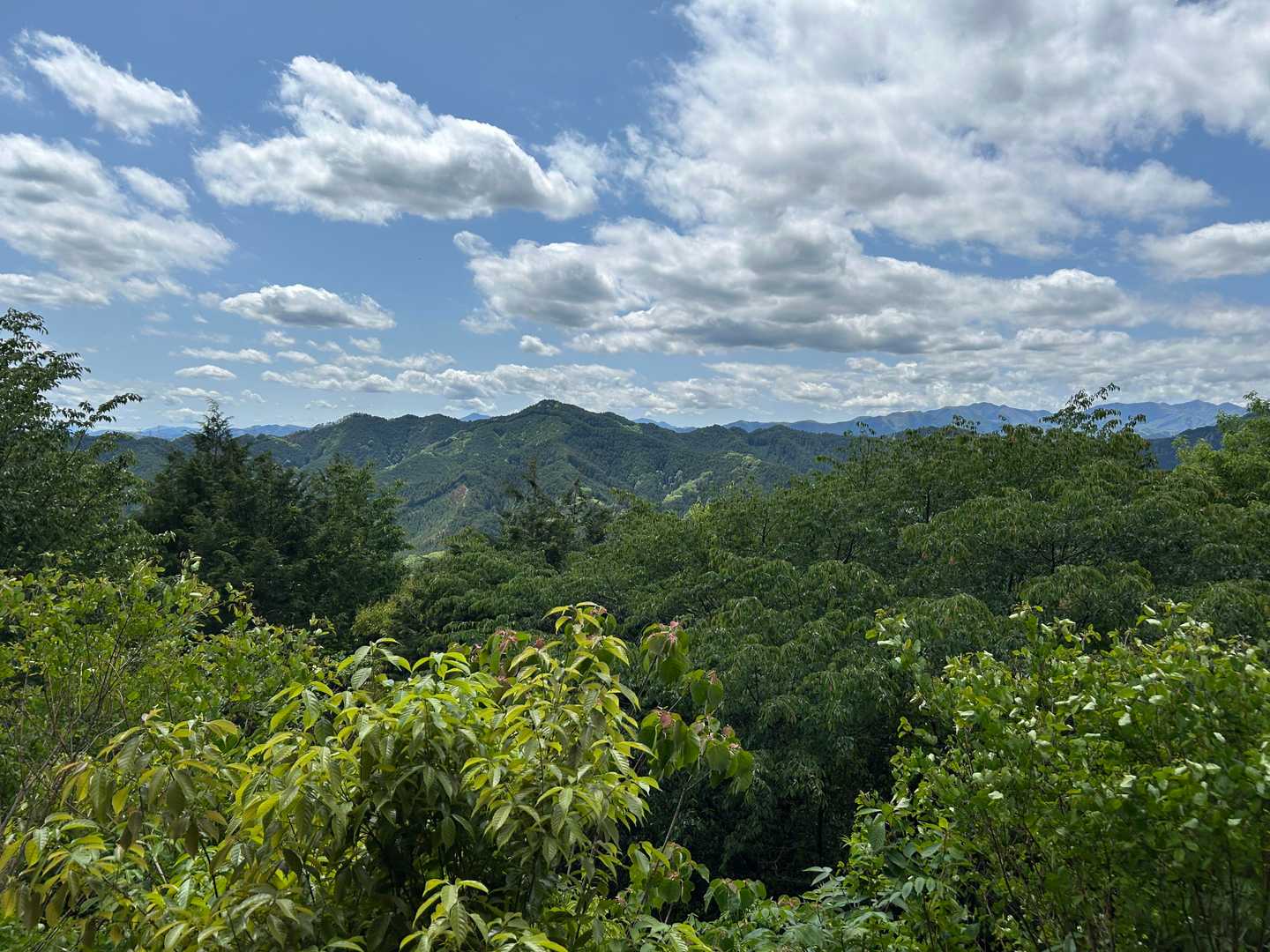 橋本山からの眺望