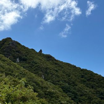 夏の