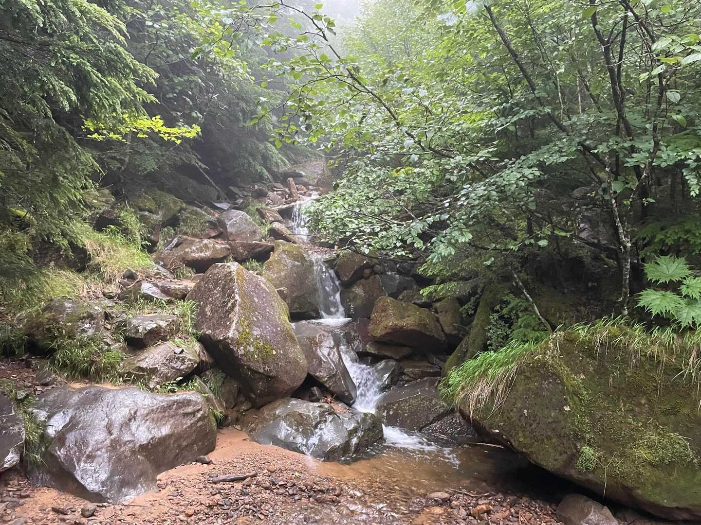 南沢-赤岳-地蔵ノ頭 周回コースの写真