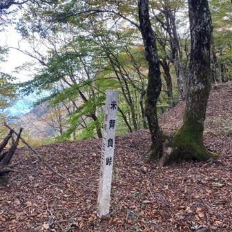米背負峠から下山