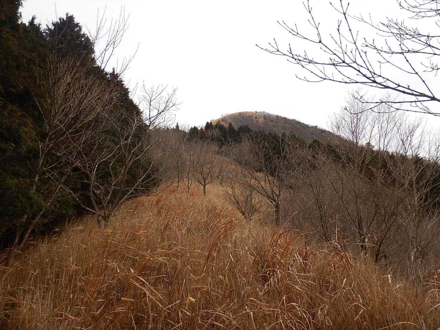 万丈塔-フキクサ山-鏡山-立石山-ながみず山 往復コースの写真