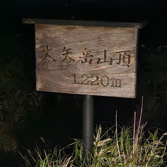 最後のピーク長かった
後は下ってゴール🏁のみ