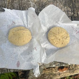 栗きんとん😋🌰
美味😍