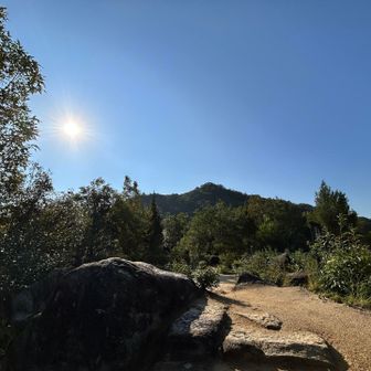 いい天気☀️