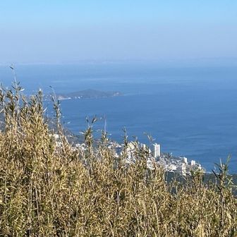 山頂より③
真鶴半島。山頂は草が伸びていて眺望イマイチかも。