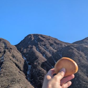 三俣と栗まんじゅう🌰