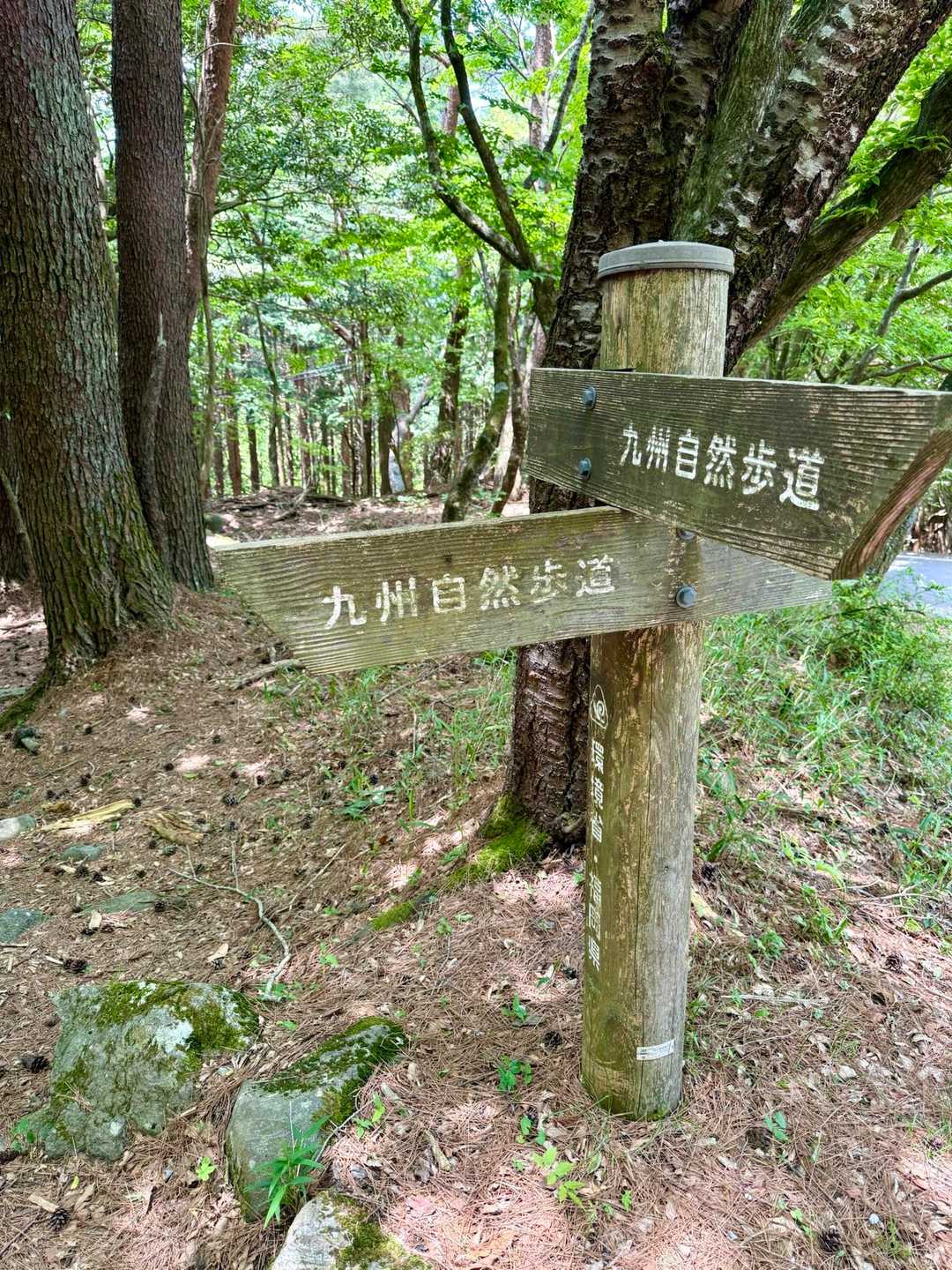お喋りに夢中で何回か道間違えたw
それも楽しい♪