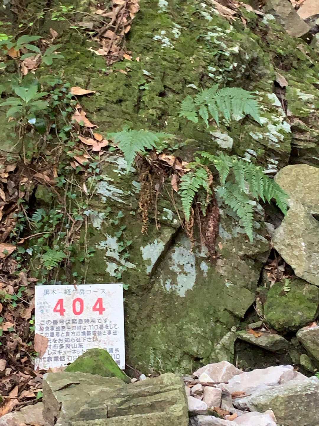 少し元気になり、ここまで来ました。