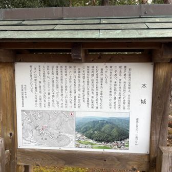 本城にも久しぶりに寄ってみた