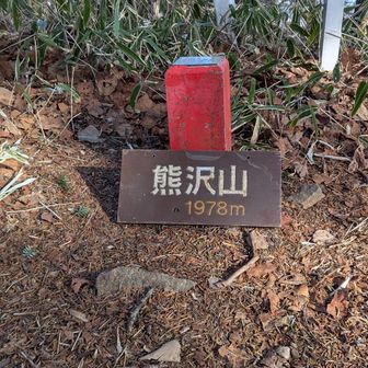 帰りに熊沢山、山頂発見