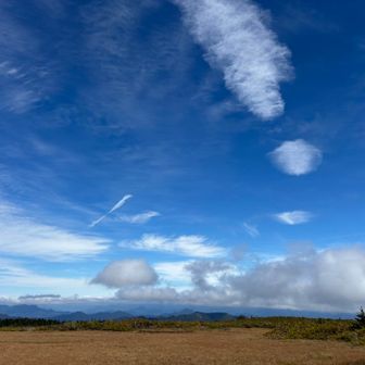 空が高い‼️
