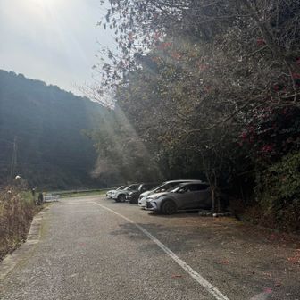 よし！次は自転車とバイクの洗車だ🏍️