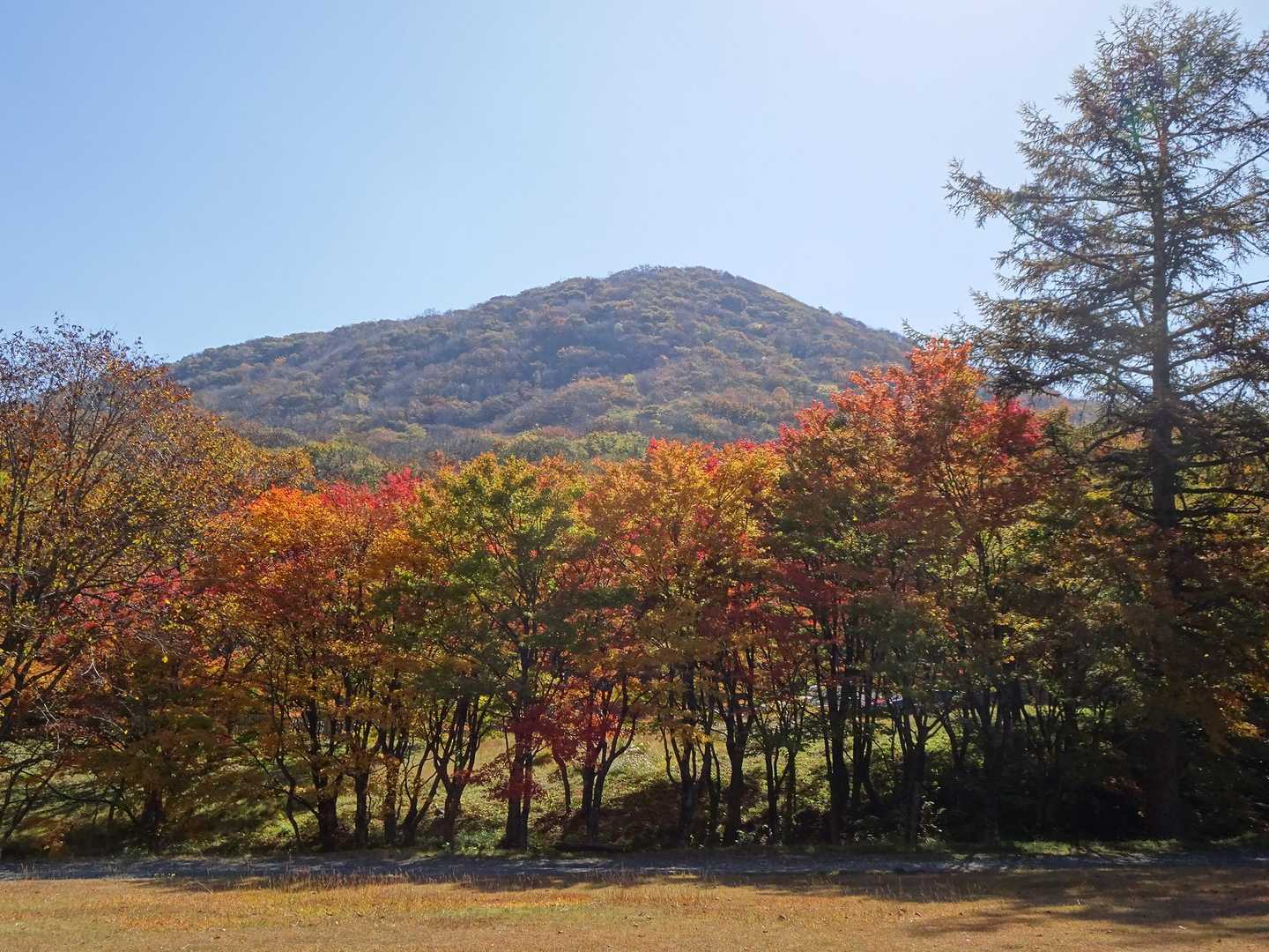 こんな景色を見ながらのランチは格別です😊