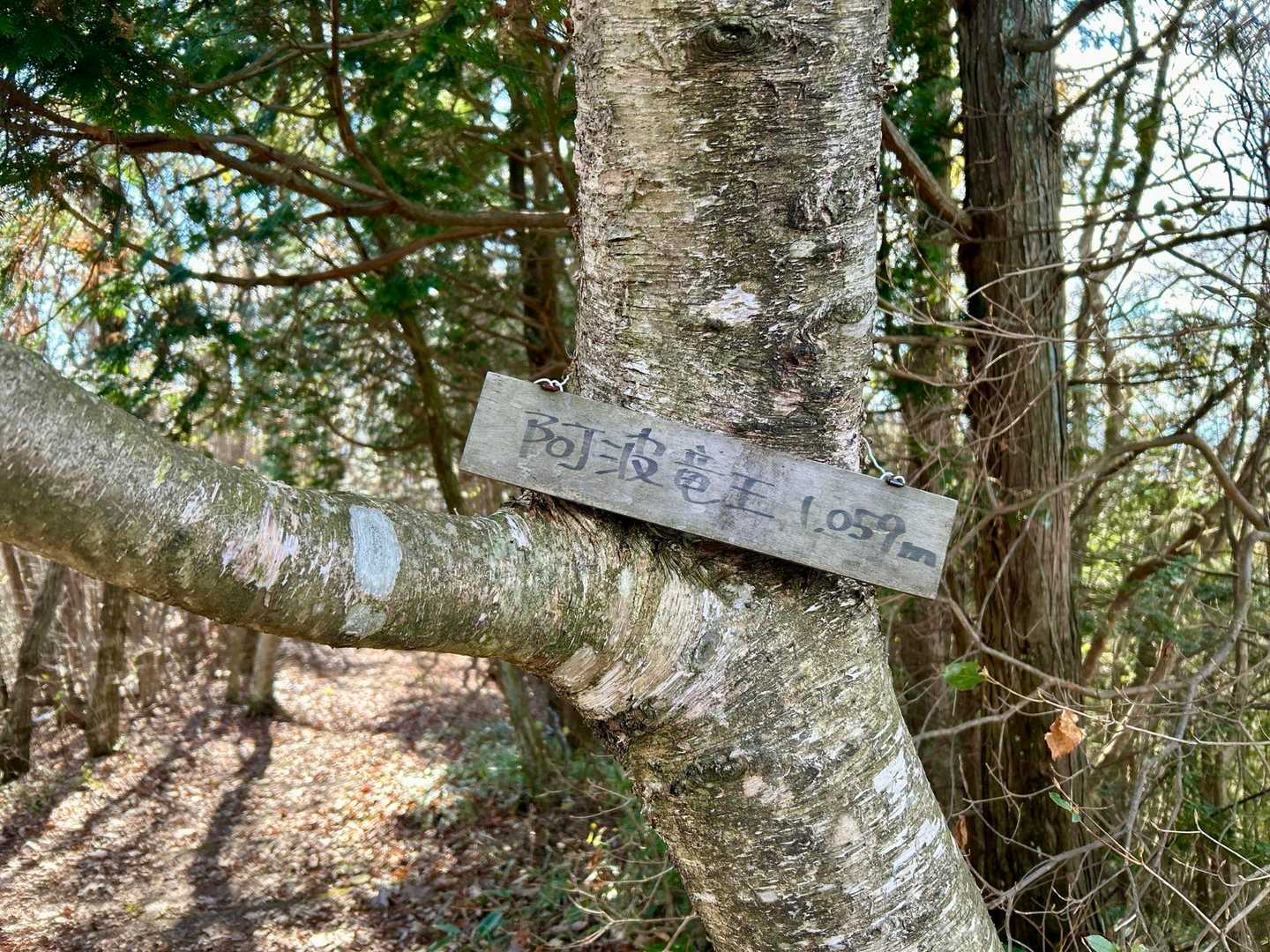 さらにアップダウンの後、阿波竜王山頂に到着⛰️