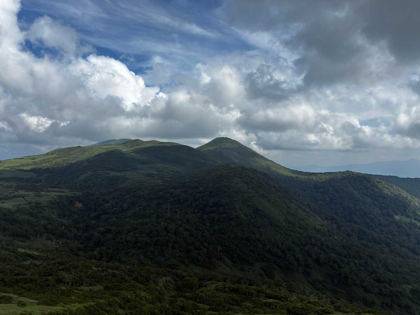 白樺山の山頂からのシャクナゲ岳⛰️