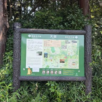 天園到着。
あまりの暑さに人もおらずw