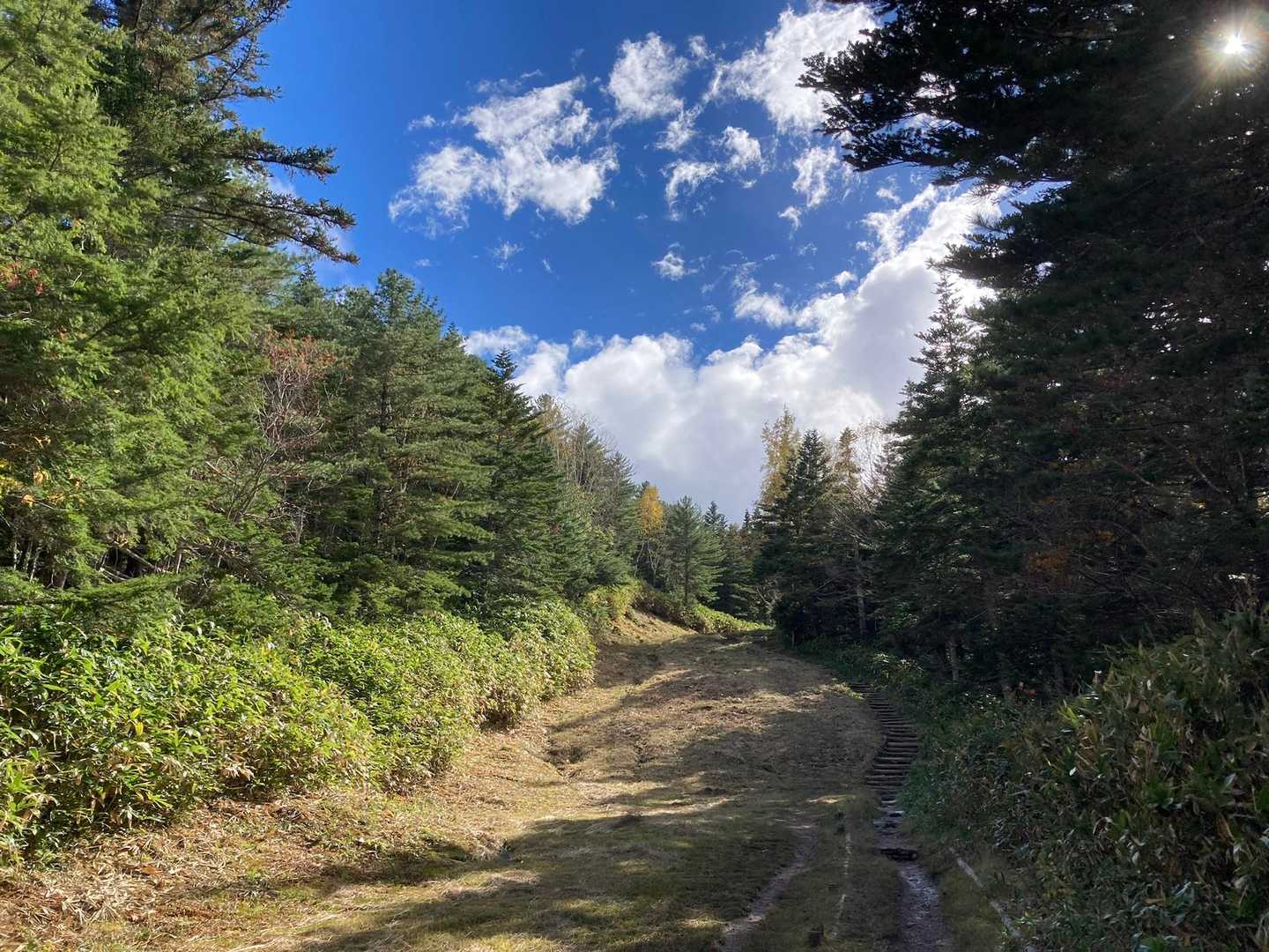 ここを登れば到着ですね。
乗鞍岳の登山道と違って、三本滝の観光の方、そこそこいましたね（笑）