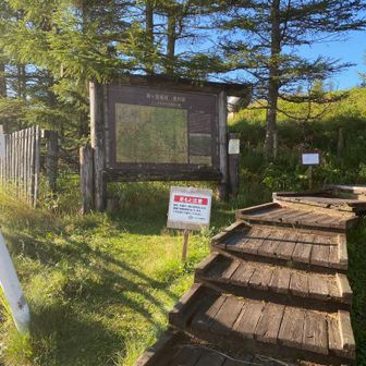 入り口から木道が続きますが傷みが激しく注意が必要（踏むと跳ね上がる）

