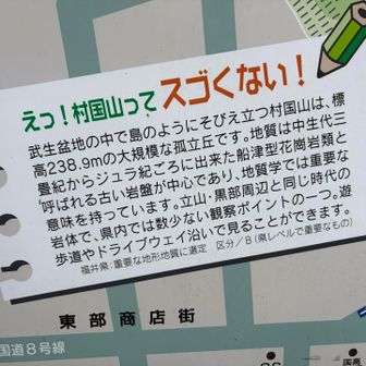 いや、ゴイゴイスーです👏👏👏
三畳紀からジュラ期の地質なんやって！恐竜の時代やん🦖🦕
