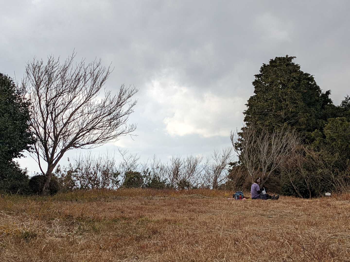 引きの図     ...ﾎﾟﾂｰﾝ.....😭
日曜なのにな、ｻﾋﾞｼｲ...