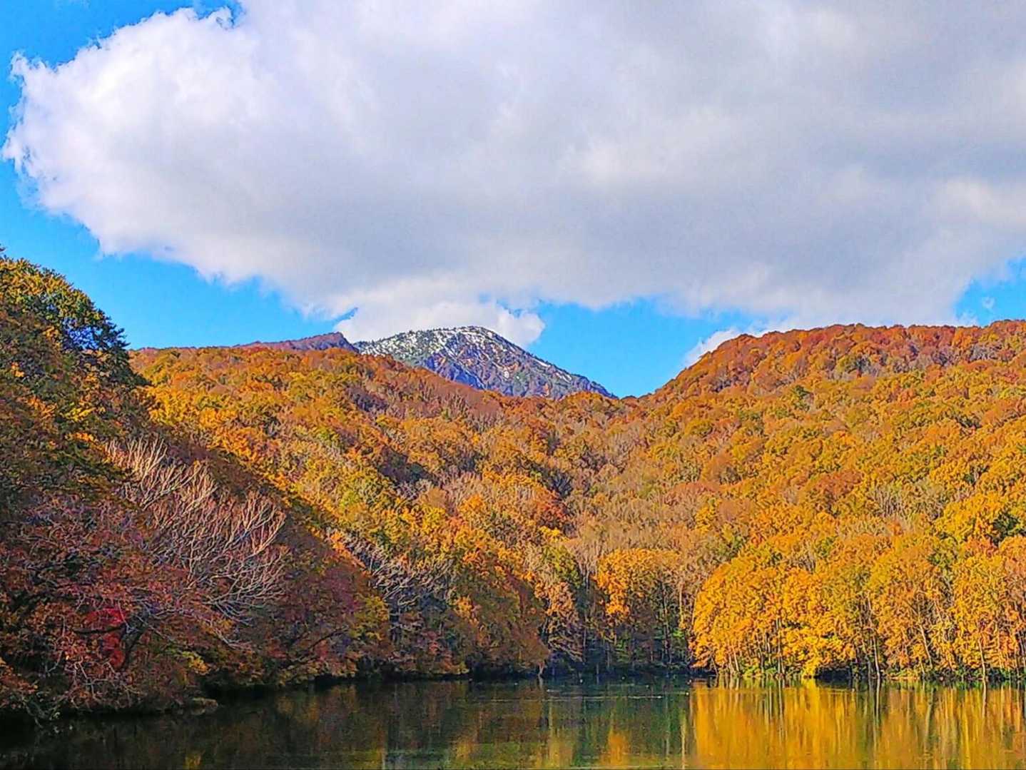 蔦温泉登山口発着｜蔦沼ほかブナの森湖沼群周回コースの写真